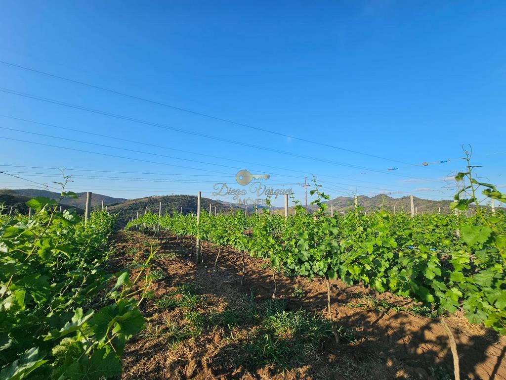 Terreno Residencial à venda em Mundo novo, Areal - RJ - Foto 27