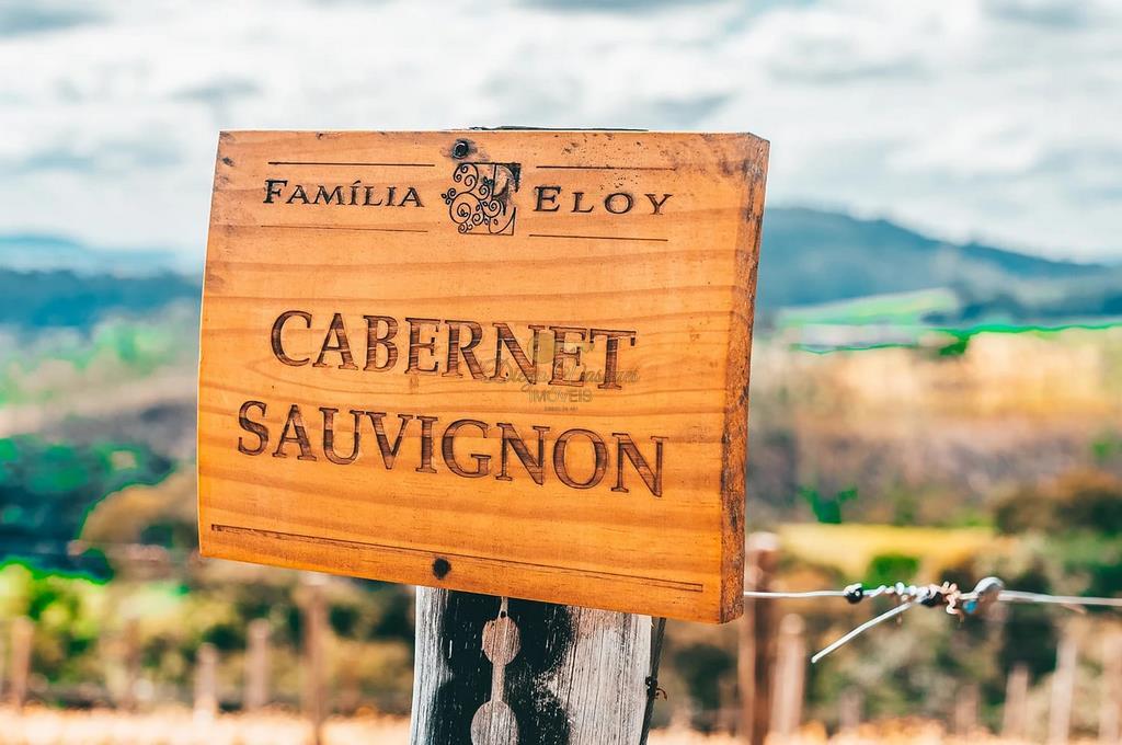 Terreno Residencial à venda em Mundo novo, Areal - RJ - Foto 25