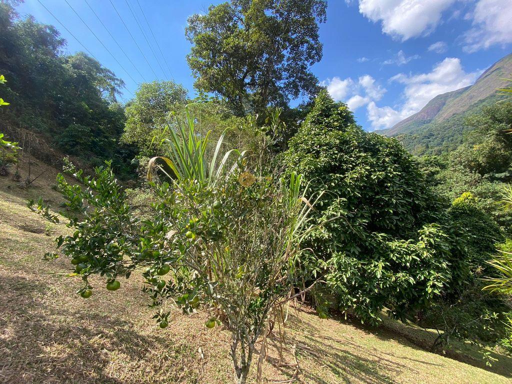 Casa à venda em Fazenda Inglesa, Petrópolis - RJ - Foto 18