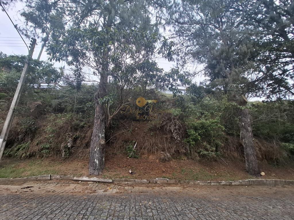 Terreno Residencial à venda em Albuquerque, Teresópolis - RJ - Foto 3