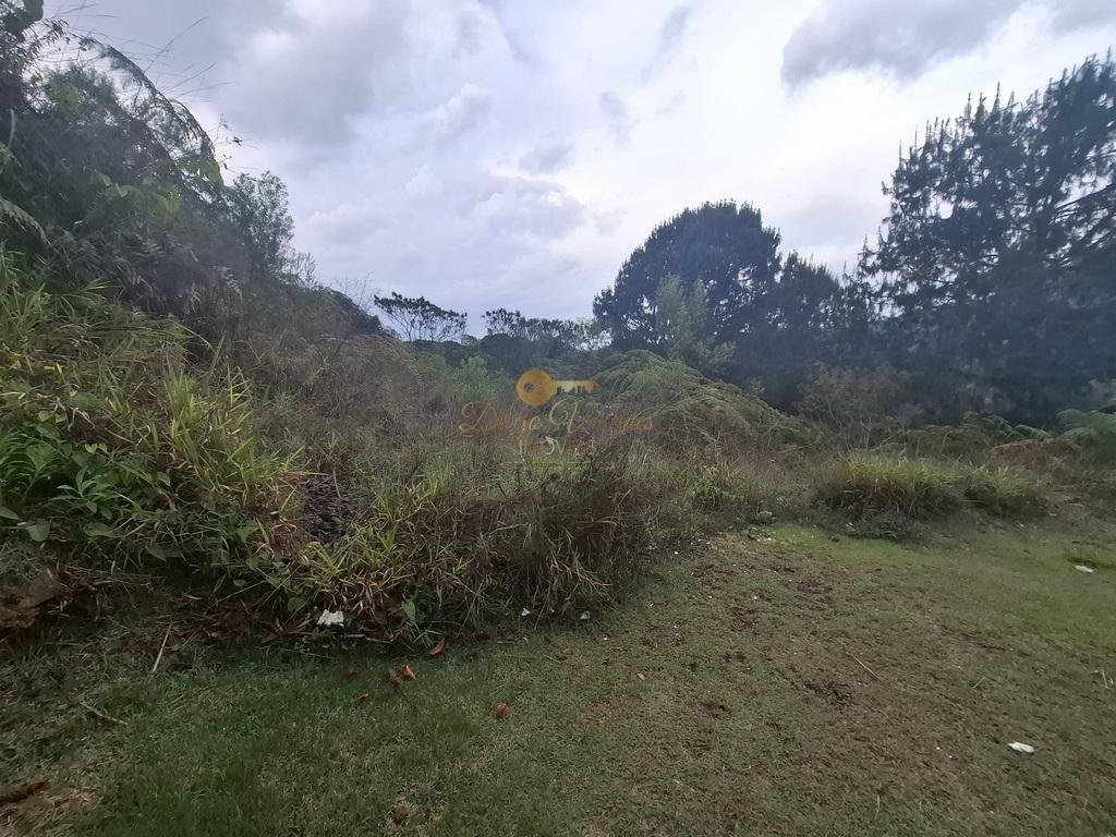 Terreno Residencial à venda em Albuquerque, Teresópolis - RJ - Foto 4