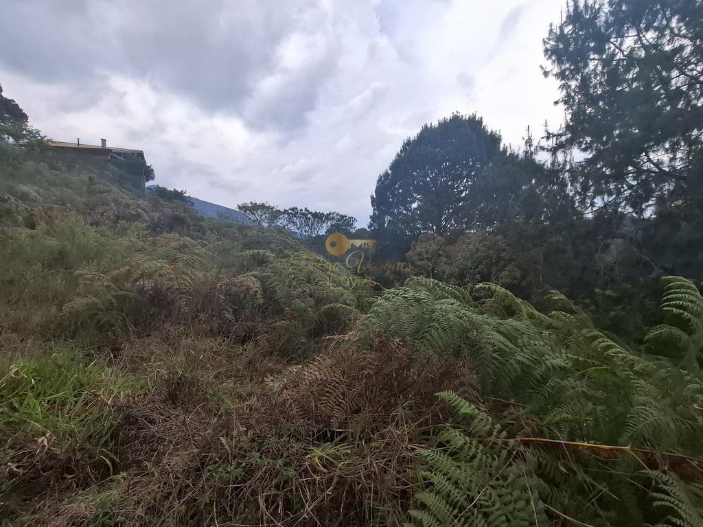 Terreno Residencial à venda em Albuquerque, Teresópolis - RJ - Foto 6