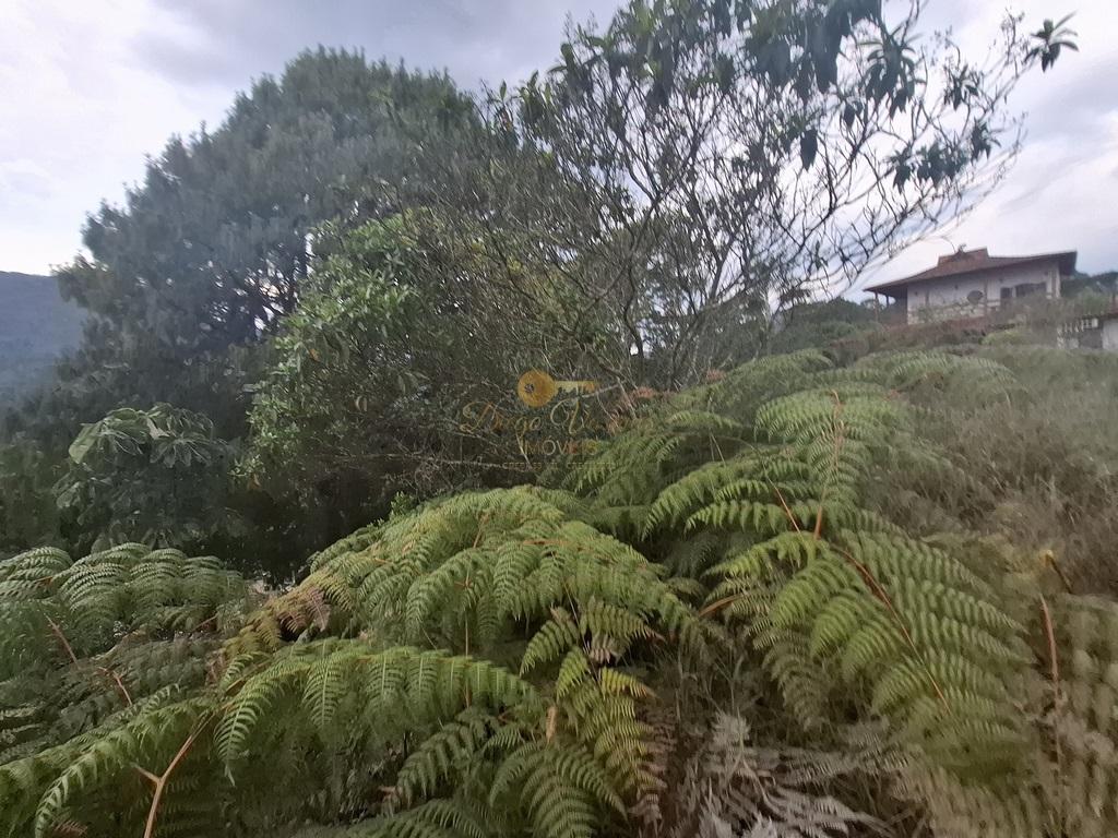 Terreno Residencial à venda em Albuquerque, Teresópolis - RJ - Foto 9
