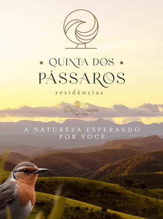 Casa à venda em Pedro do Rio, Petrópolis - RJ - Foto 3