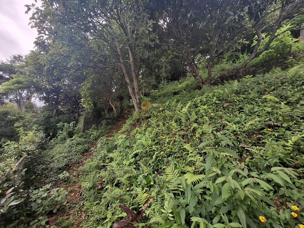 Casa à venda em Jardim Europa, Teresópolis - RJ - Foto 29