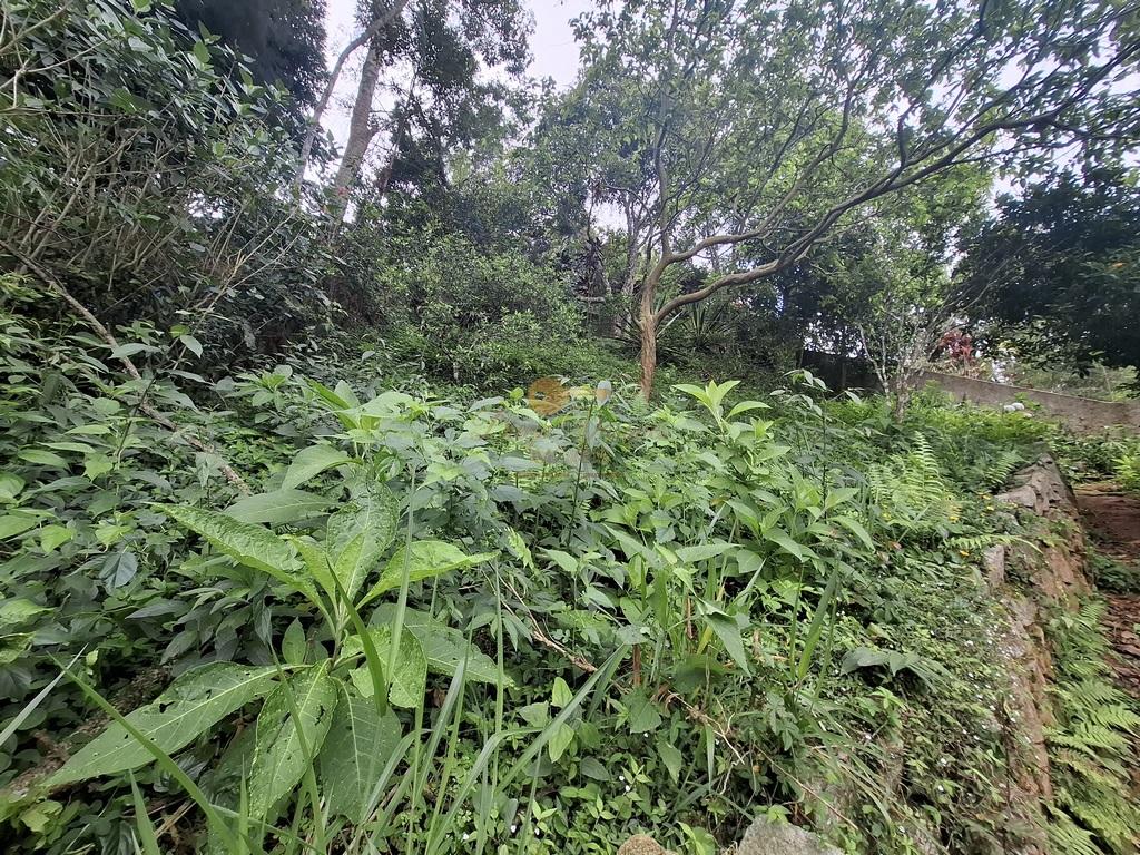 Casa à venda em Jardim Europa, Teresópolis - RJ - Foto 31