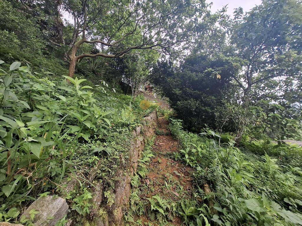 Casa à venda em Jardim Europa, Teresópolis - RJ - Foto 32