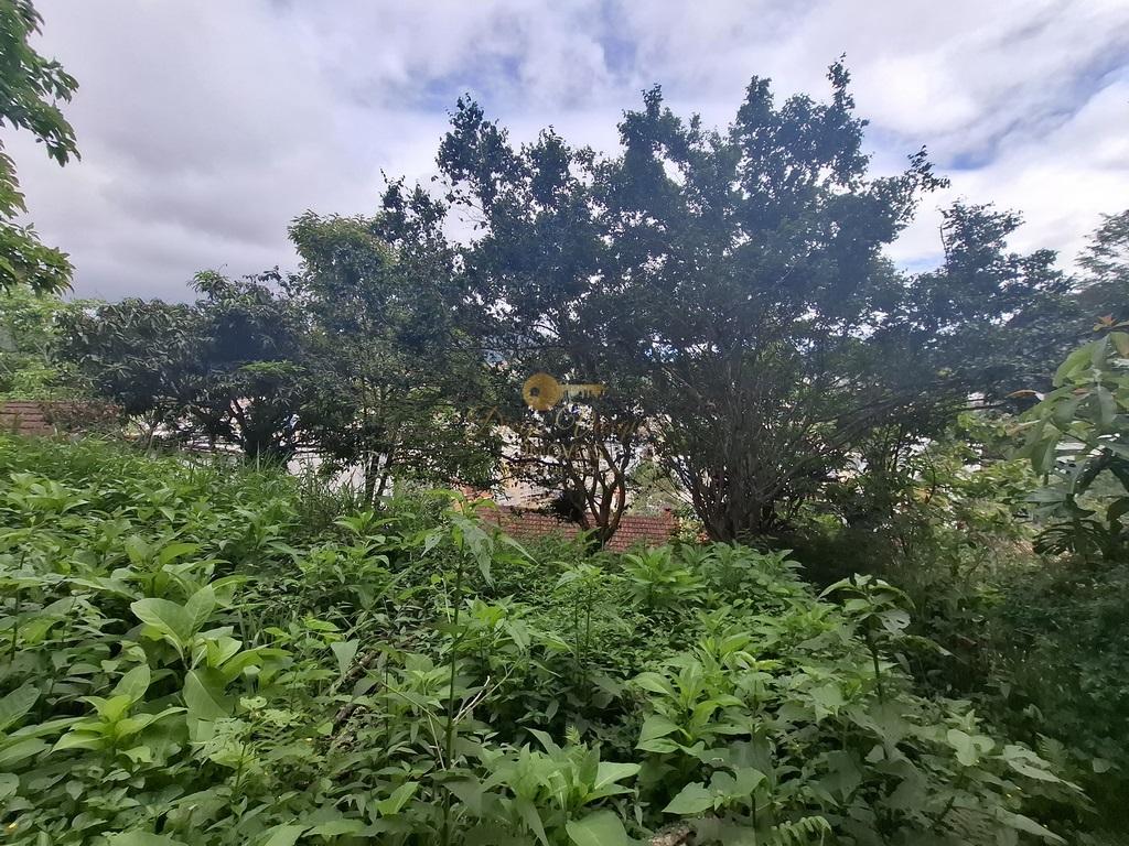 Casa à venda em Jardim Europa, Teresópolis - RJ - Foto 33