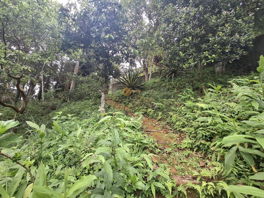 Casa à venda em Jardim Europa, Teresópolis - RJ - Foto 34