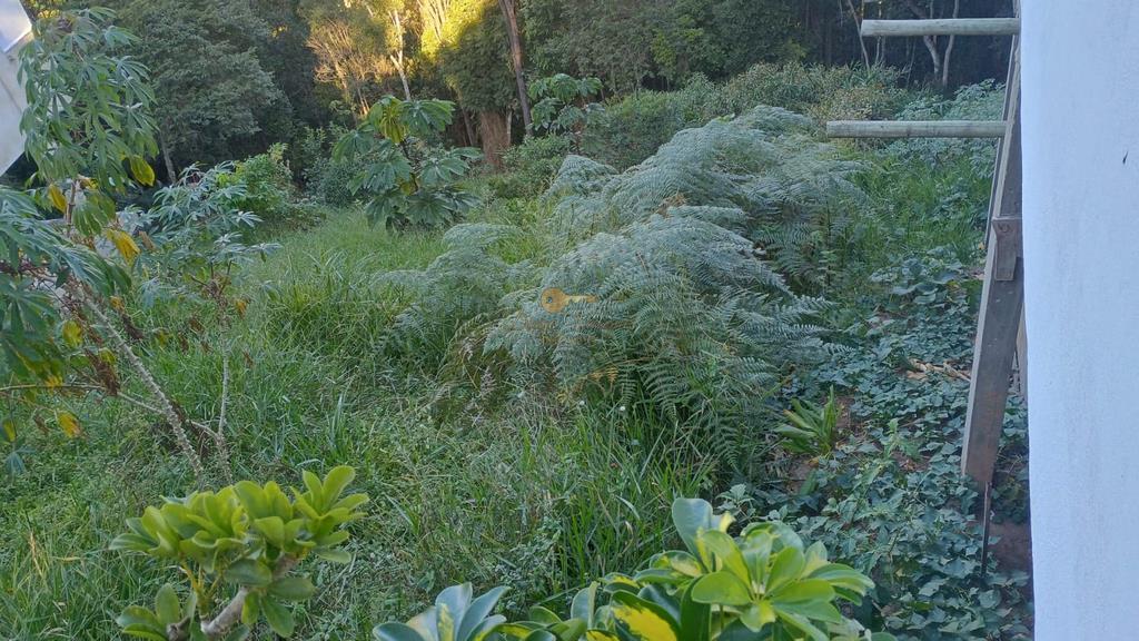 Terreno, 380 m² - Foto 4