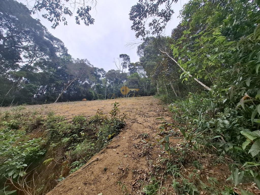 Terreno Residencial à venda em Jardim Europa, Teresópolis - RJ - Foto 14