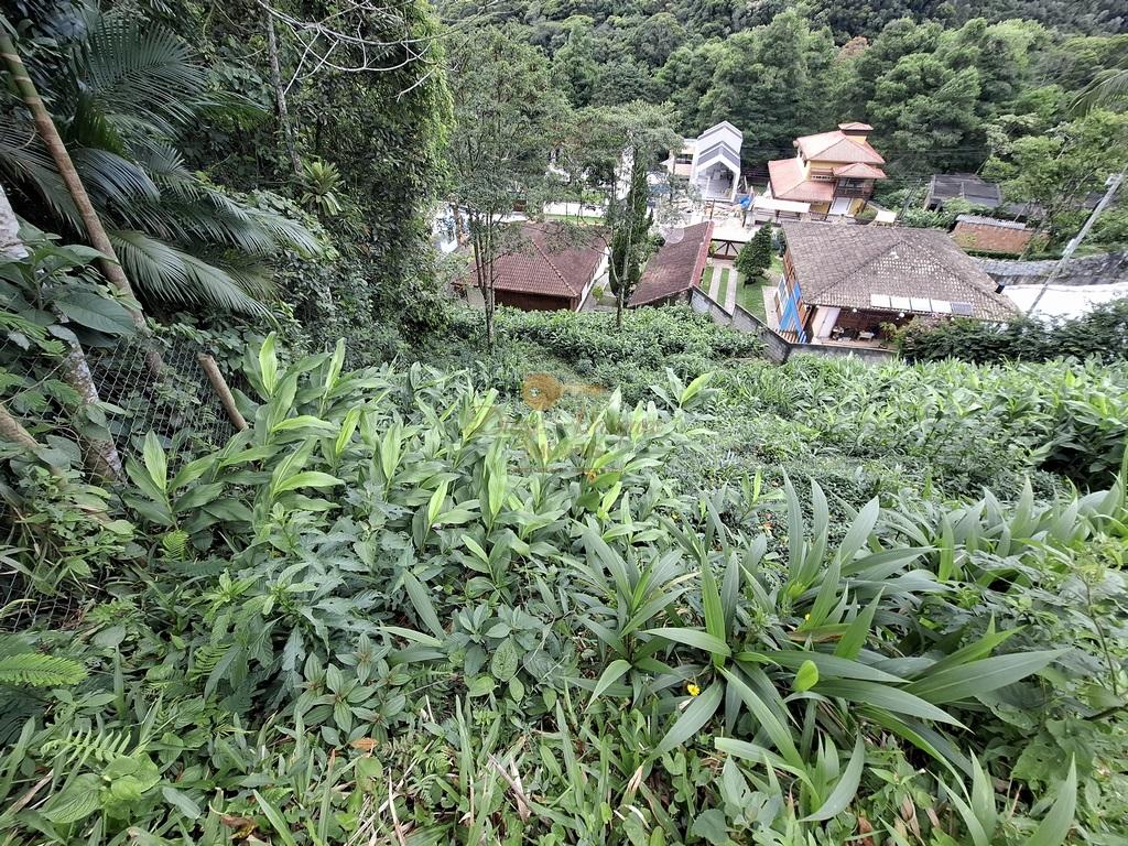 Terreno Residencial à venda em Carlos Guinle, Teresópolis - RJ - Foto 10
