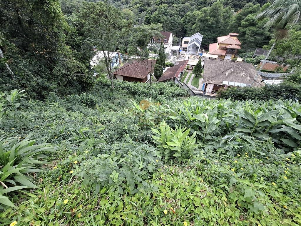Terreno Residencial à venda em Carlos Guinle, Teresópolis - RJ - Foto 12