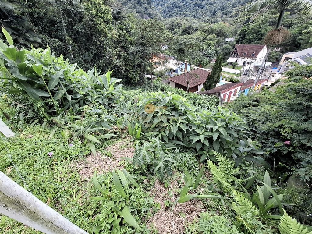 Terreno Residencial à venda em Carlos Guinle, Teresópolis - RJ - Foto 14