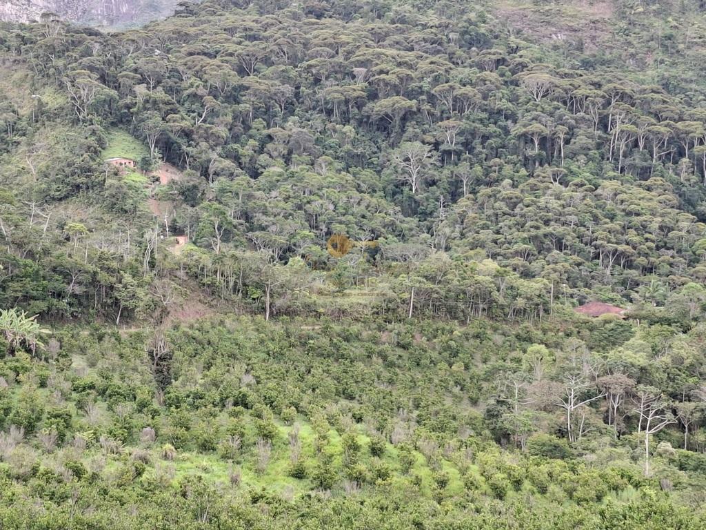 Outros à venda em Santa Rita, Teresópolis - RJ - Foto 10
