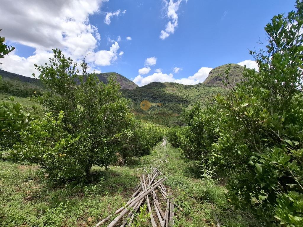 Outros à venda em Santa Rita, Teresópolis - RJ - Foto 13