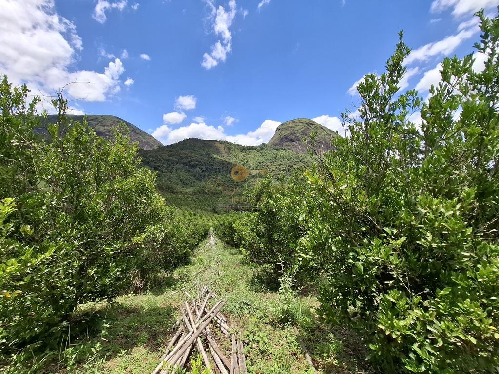 Outros à venda em Santa Rita, Teresópolis - RJ - Foto 12