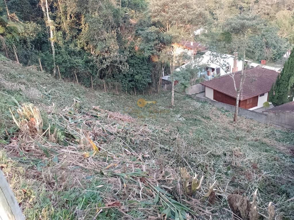 Terreno Residencial à venda em Carlos Guinle, Teresópolis - RJ - Foto 5