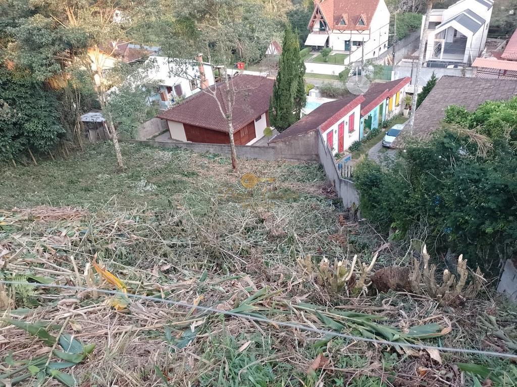 Terreno Residencial à venda em Carlos Guinle, Teresópolis - RJ - Foto 6