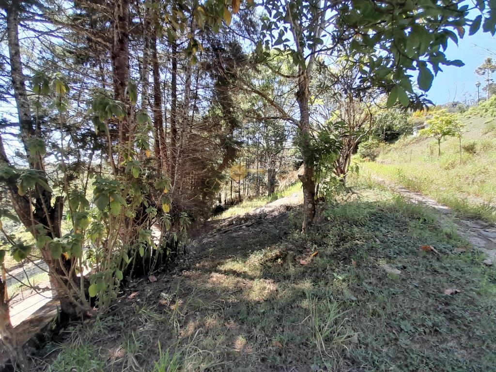 Casa à venda em Santa Rita, Teresópolis - RJ - Foto 35