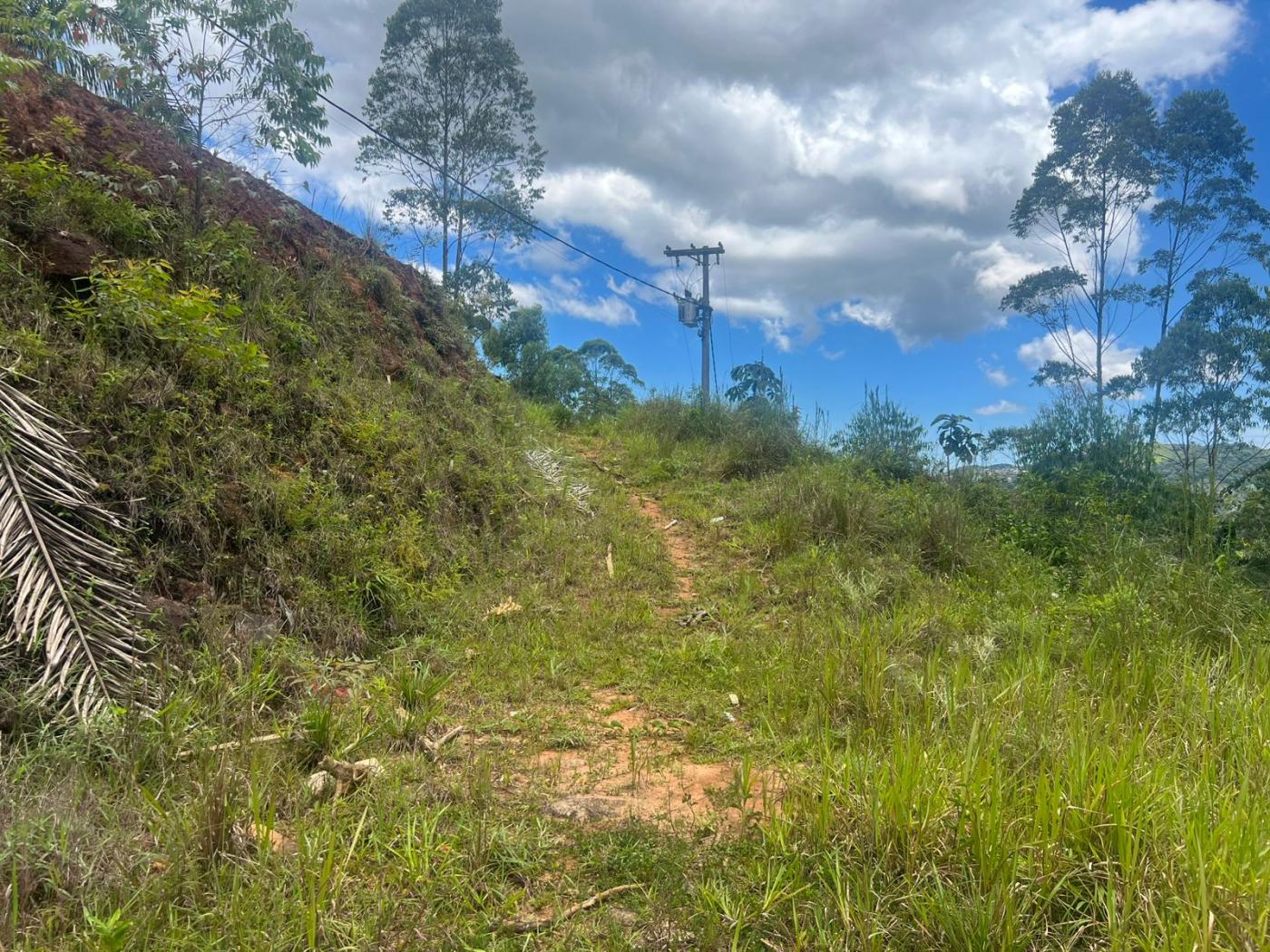 Terreno Residencial à venda em Quarteirão Ingelheim, Petrópolis - RJ - Foto 4