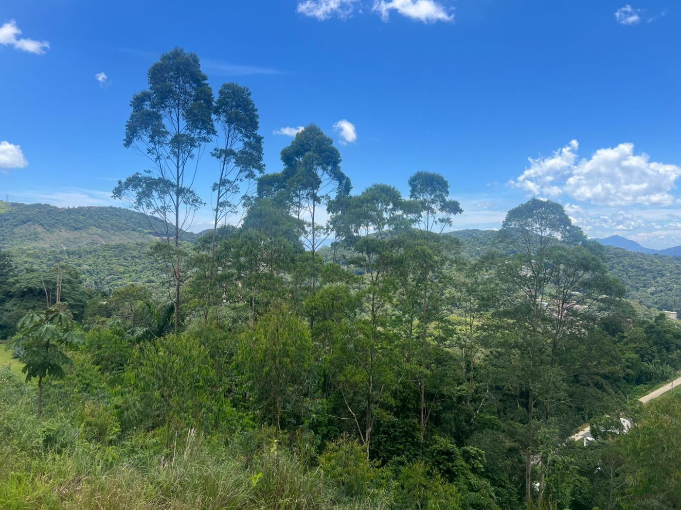 Terreno Residencial à venda em Quarteirão Ingelheim, Petrópolis - RJ - Foto 6