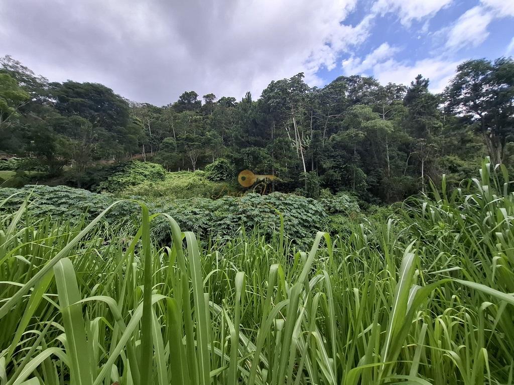 Terreno Residencial à venda em Posse, Teresópolis - RJ - Foto 8