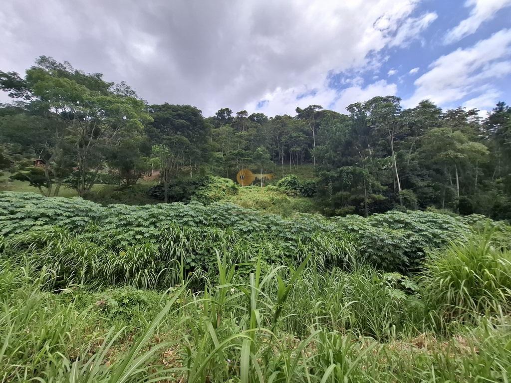 Terreno Residencial à venda em Posse, Teresópolis - RJ - Foto 10