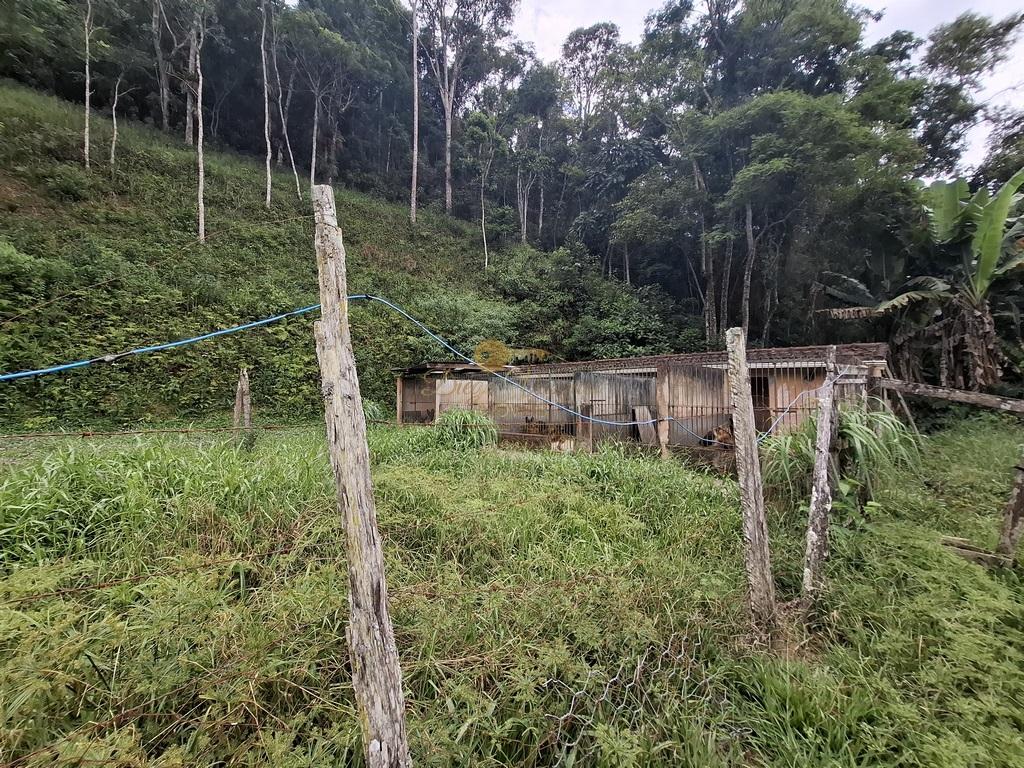 Terreno Residencial à venda em Posse, Teresópolis - RJ - Foto 4