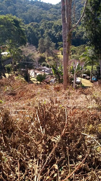 Terreno Residencial à venda em Vargem Grande, Teresópolis - RJ - Foto 4
