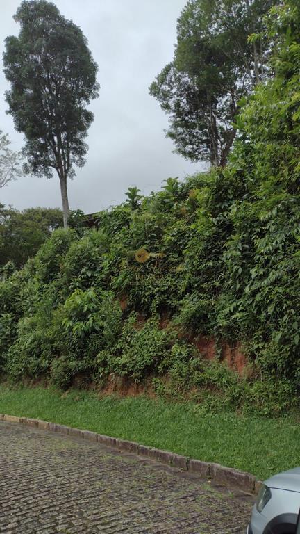 Terreno Residencial à venda em Vargem Grande, Teresópolis - RJ - Foto 3