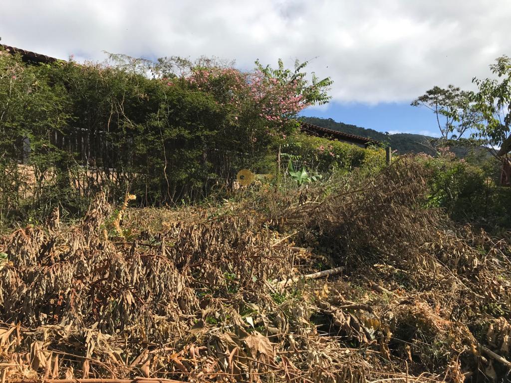 Terreno Residencial à venda em Vargem Grande, Teresópolis - RJ - Foto 10