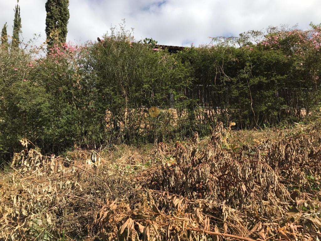 Terreno Residencial à venda em Vargem Grande, Teresópolis - RJ - Foto 18