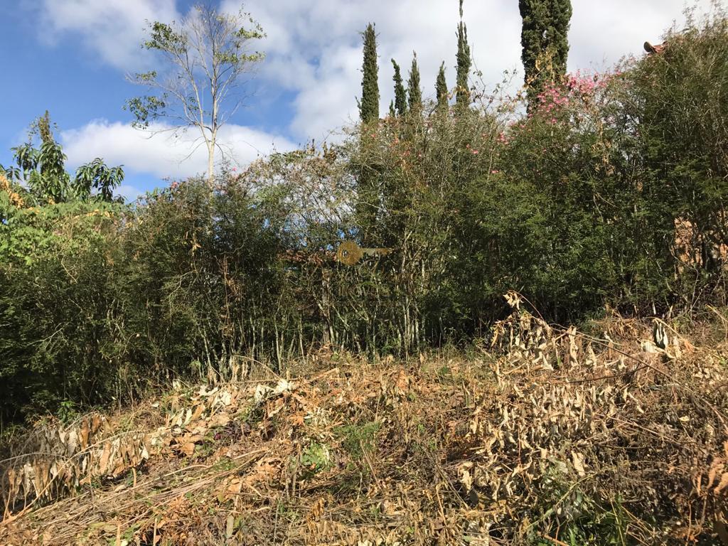 Terreno Residencial à venda em Vargem Grande, Teresópolis - RJ - Foto 21