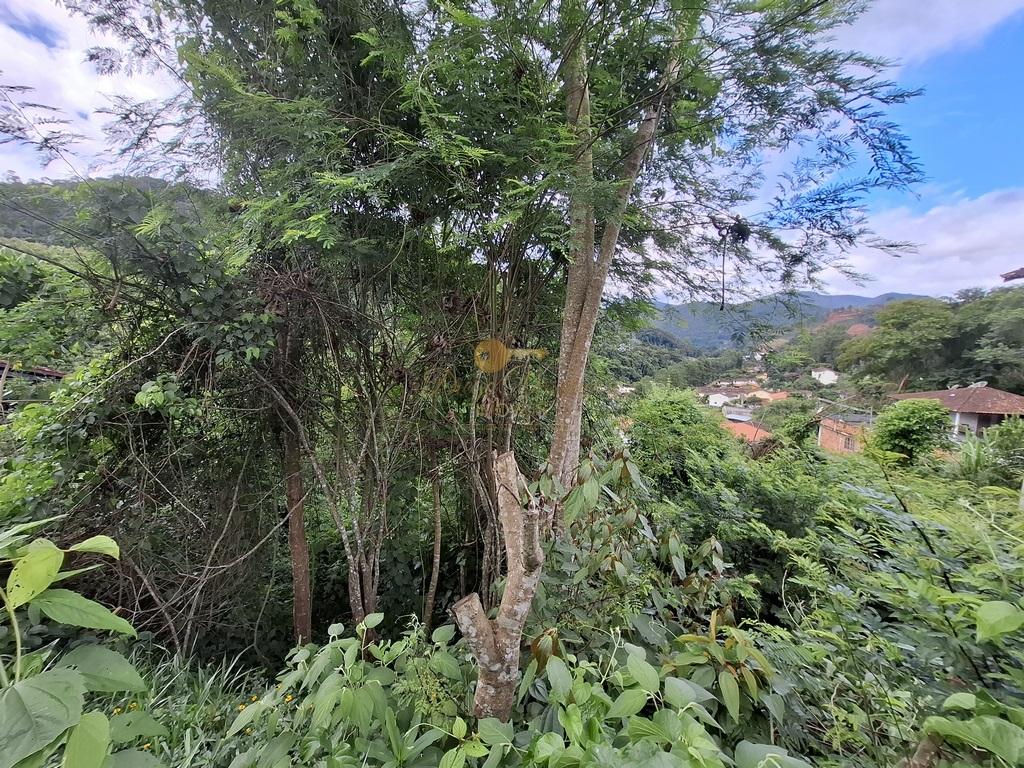 Terreno Residencial à venda em Albuquerque, Teresópolis - RJ - Foto 5