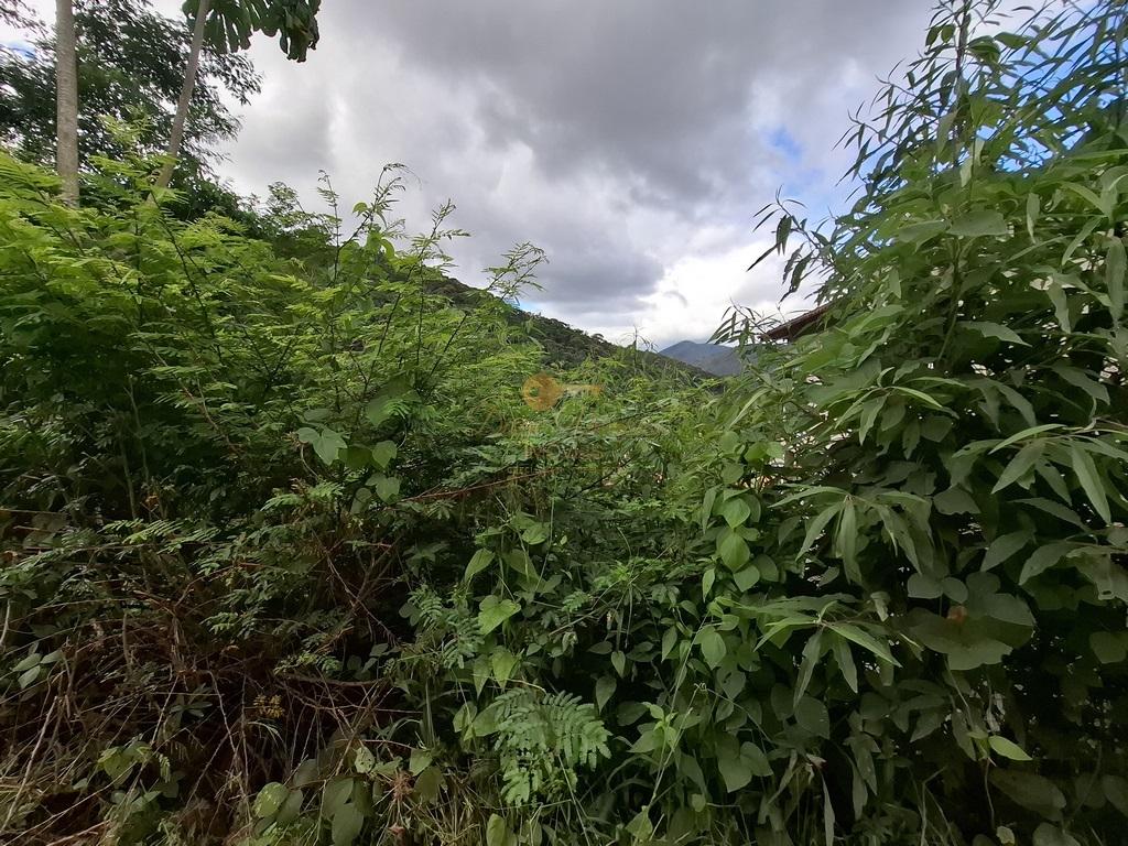 Terreno Residencial à venda em Albuquerque, Teresópolis - RJ - Foto 6