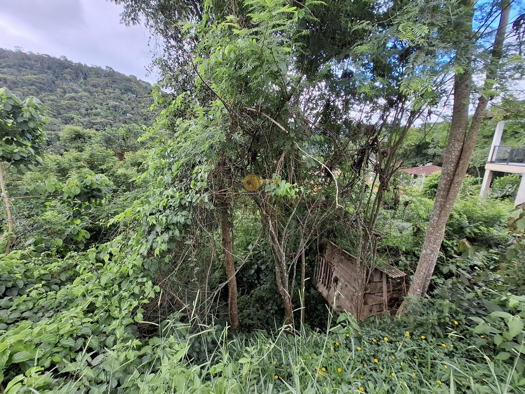 Terreno Residencial à venda em Albuquerque, Teresópolis - RJ - Foto 4