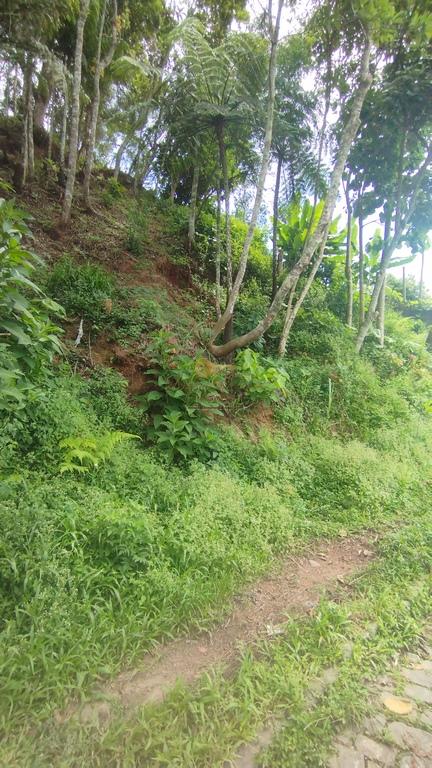 Terreno Residencial à venda em Panorama, Teresópolis - RJ - Foto 5