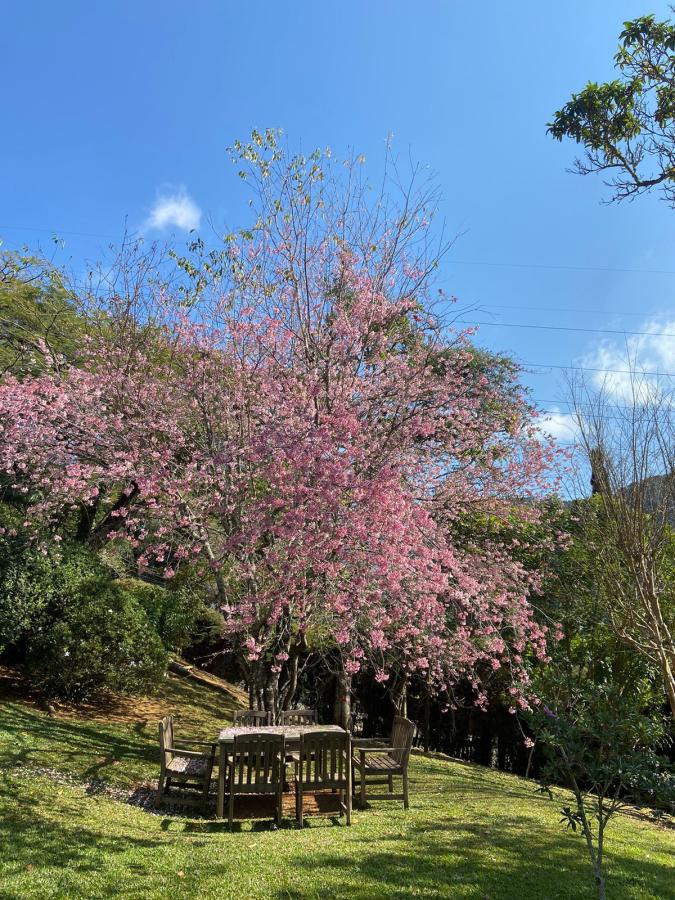 Casa à venda em Araras, Petrópolis - RJ - Foto 4