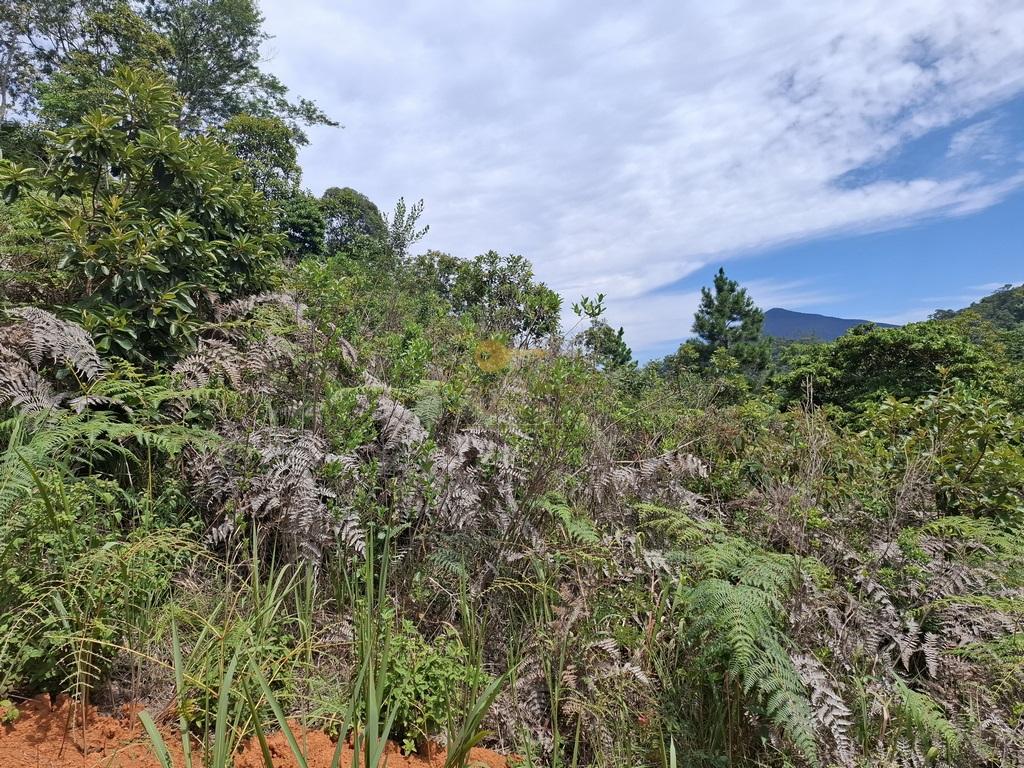 Terreno Residencial à venda em Albuquerque, Teresópolis - RJ - Foto 6