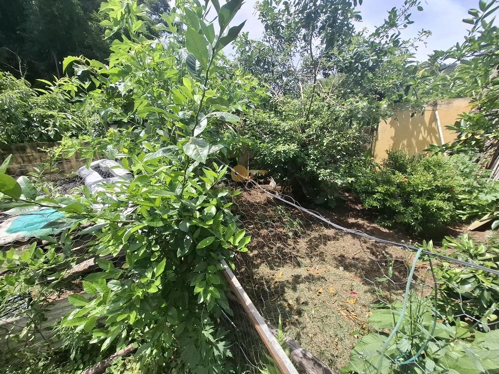 Casa à venda em Três Córregos, Teresópolis - RJ - Foto 45