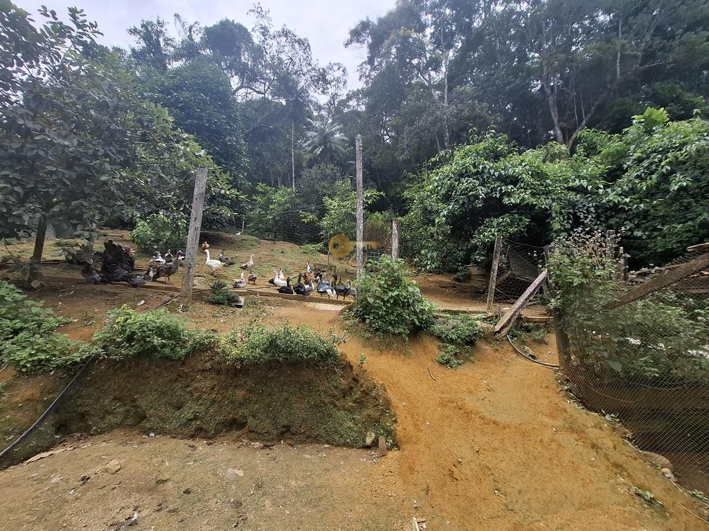Casa à venda em Albuquerque, Teresópolis - RJ - Foto 39