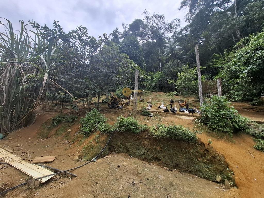 Casa à venda em Albuquerque, Teresópolis - RJ - Foto 38