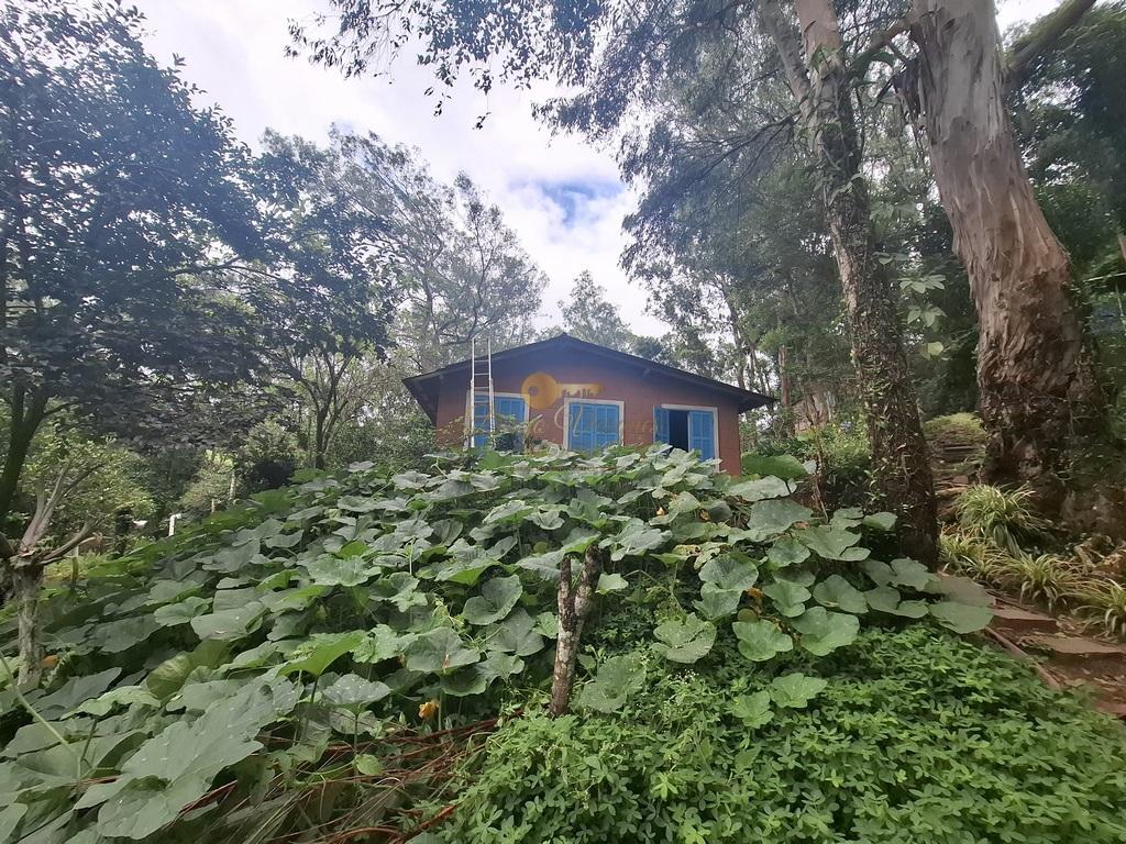 Outros à venda em Venda Nova, Teresópolis - RJ - Foto 40