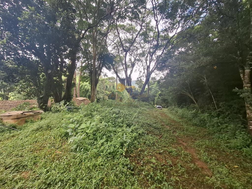 Outros à venda em Venda Nova, Teresópolis - RJ - Foto 42