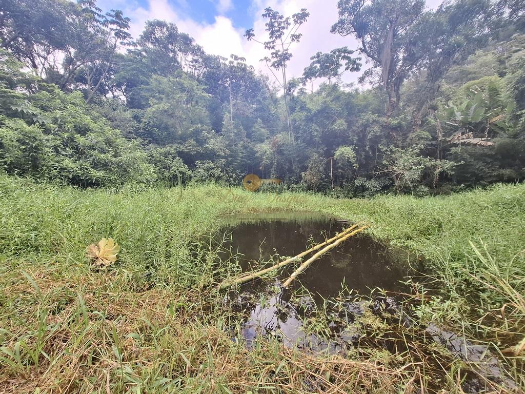 Outros à venda em Venda Nova, Teresópolis - RJ - Foto 43