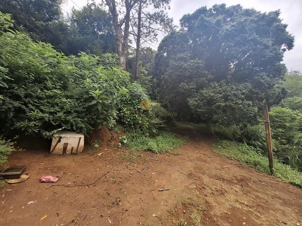 Outros à venda em Venda Nova, Teresópolis - RJ - Foto 46