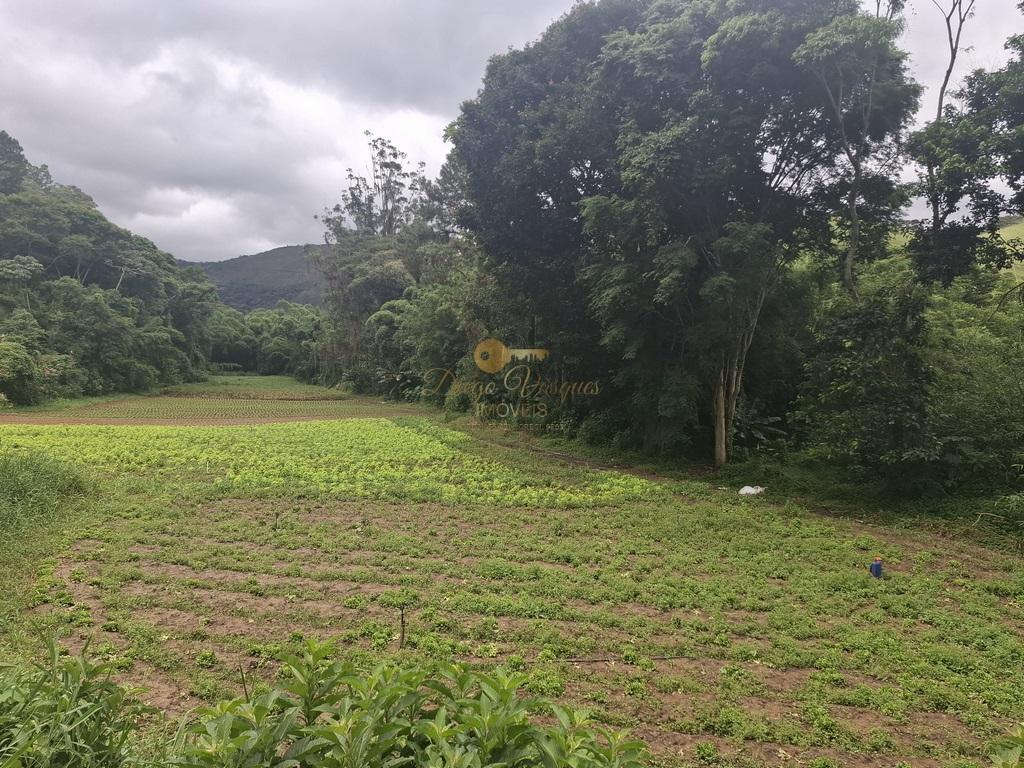 Outros à venda em Venda Nova, Teresópolis - RJ - Foto 44