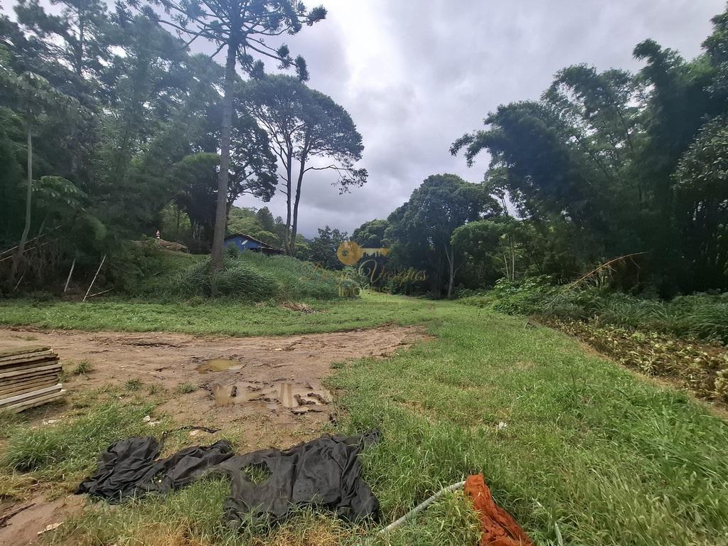 Outros à venda em Venda Nova, Teresópolis - RJ - Foto 47