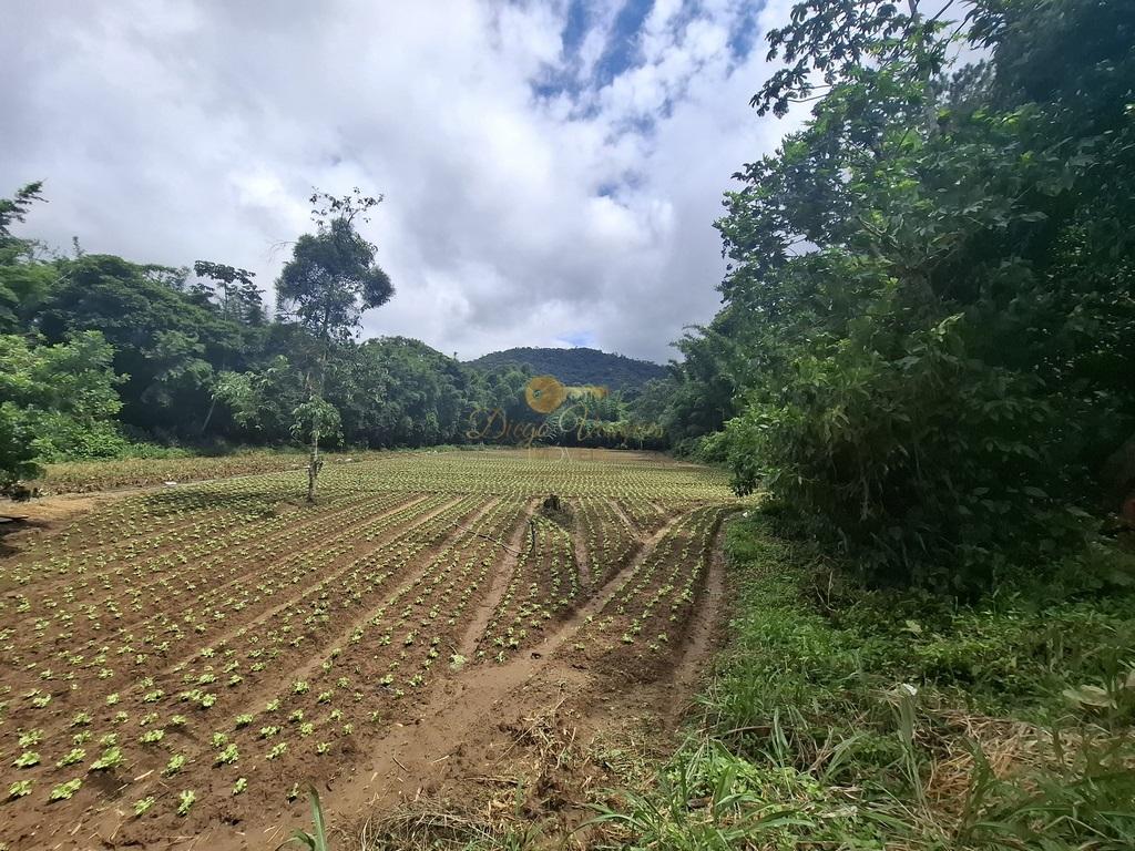 Outros à venda em Venda Nova, Teresópolis - RJ - Foto 46